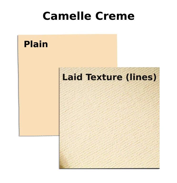 A4 Royal Executive Bond Paper 100gsm-Camelle Cream (pack of 500)