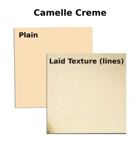 A4 Royal Executive Bond Paper 100gsm-Camelle Cream (pack of 500)