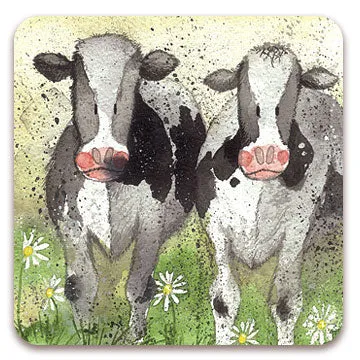 Alex Clark Curious Cows Coaster