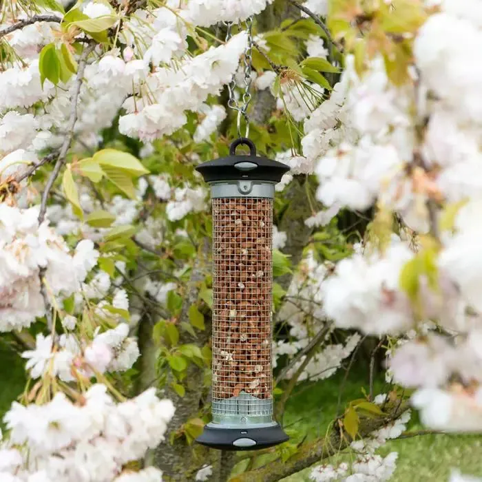 Apollo Easy Clean Peanut Feeder