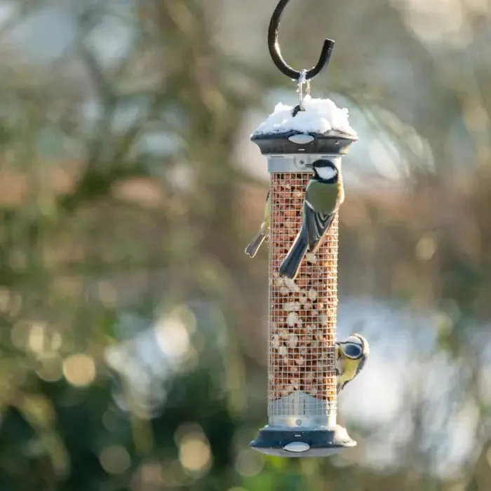 Apollo Easy Clean Peanut Feeder
