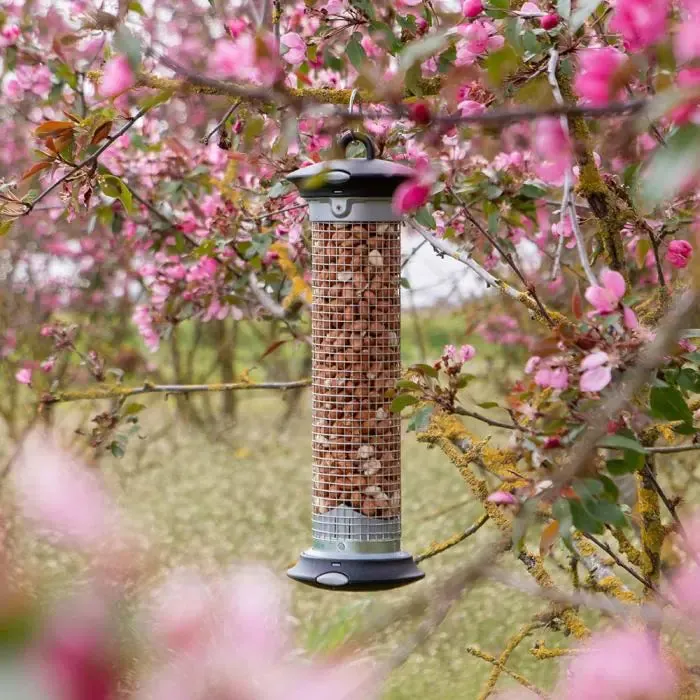 Apollo Easy Clean Peanut Feeder