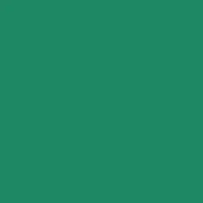 Cadette Green Siser EasyWeed HTV 59"  / Heat Transfer Vinyl / Siser EasyWeed