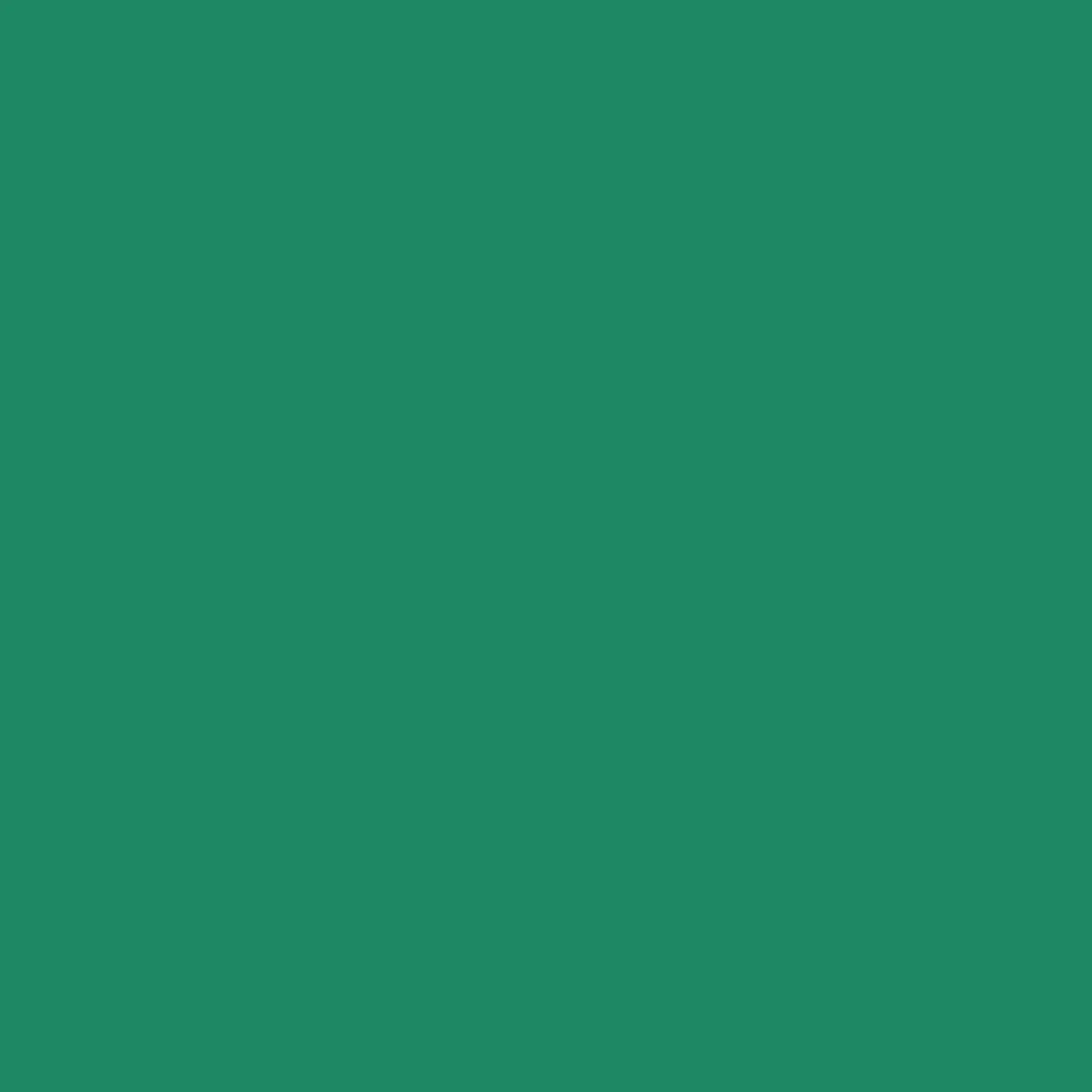Cadette Green Siser EasyWeed HTV 59"  / Heat Transfer Vinyl / Siser EasyWeed