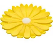 Charles Viancin Daisy Coaster