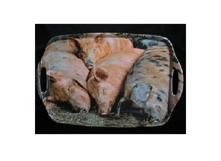 Country Matters Sleeping Pig Tray