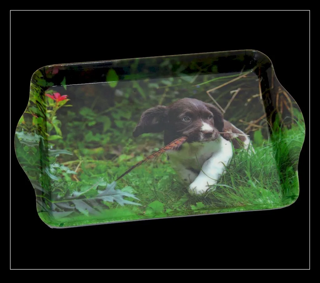 Country Matters Trinket Tray Up to Mischief