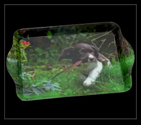 Country Matters Trinket Tray Up to Mischief