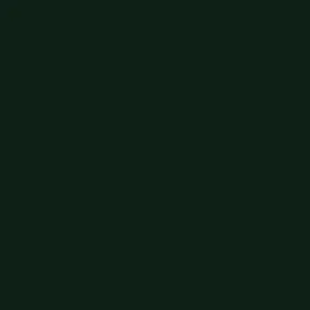Dark Green Siser EasyWeed HTV 59"  / Heat Transfer Vinyl / Siser EasyWeed