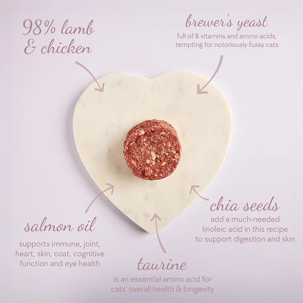 Discovery Box, Patties (72 x 100g)
