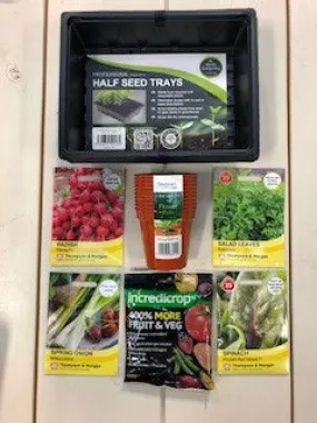 Grow your own Fresh Salad mix