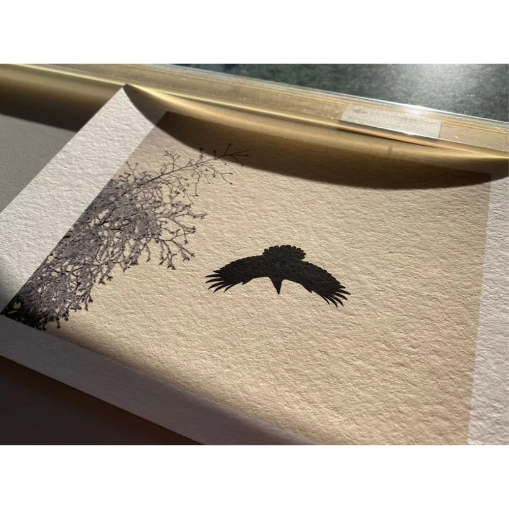 Hahnemühle Agave FineArt InkJet Paper | 8.5" x 11", 25 Sheets