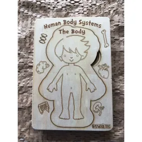Human Body Systems-Male