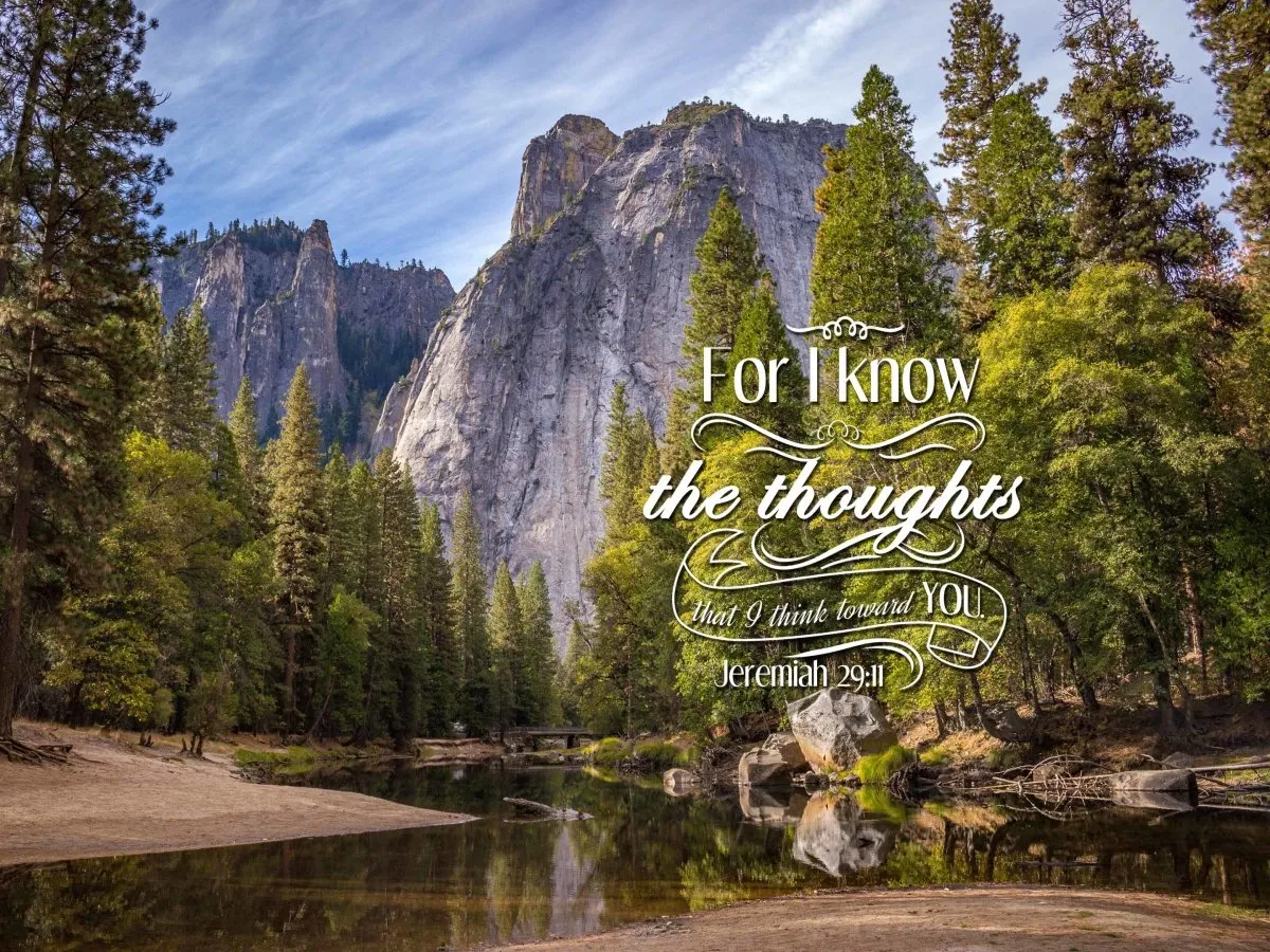 Jeremiah 2911 Kjv Bible Verse Canvas Wall Art
