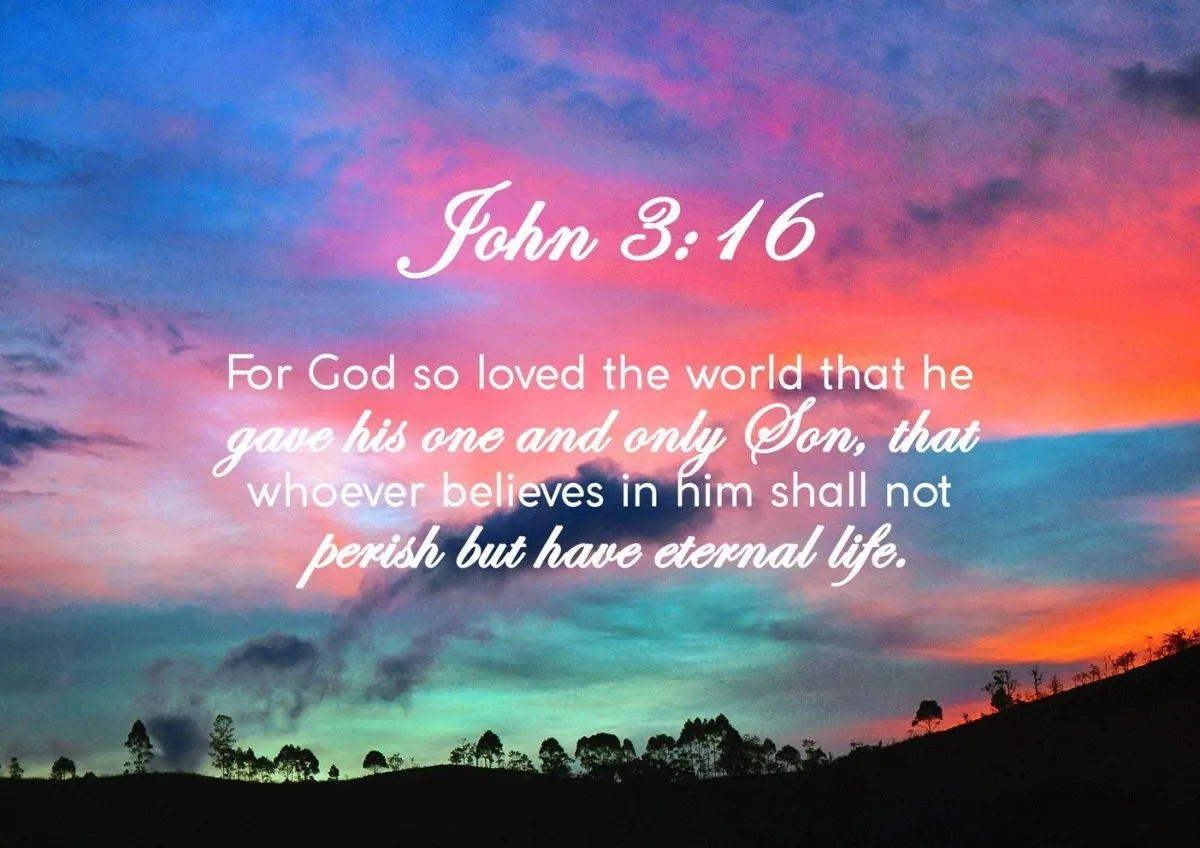 John 316 Niv #19 Bible Verse Canvas Wall Art - Christian Canvas Wall Art