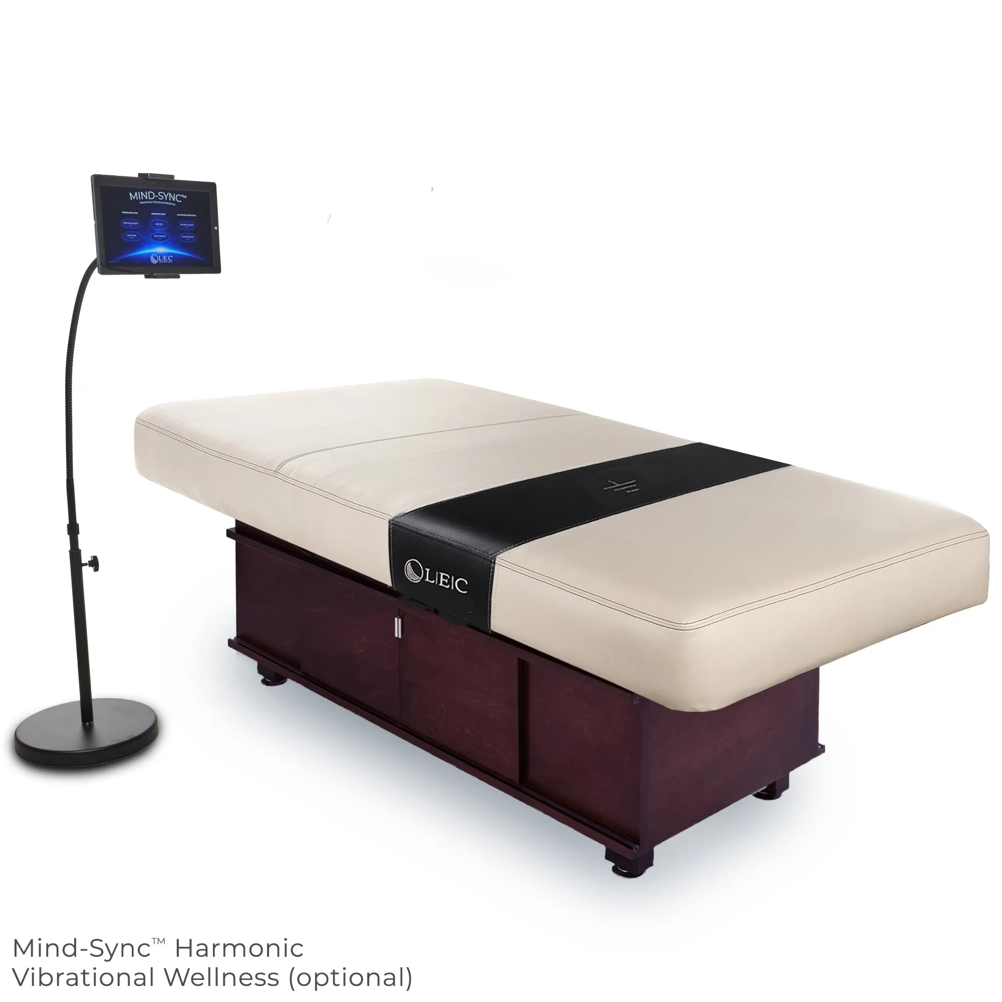 Living Earth Crafts Insignia Classic Multi-Purpose Treatment Table with Replaceable Mattress