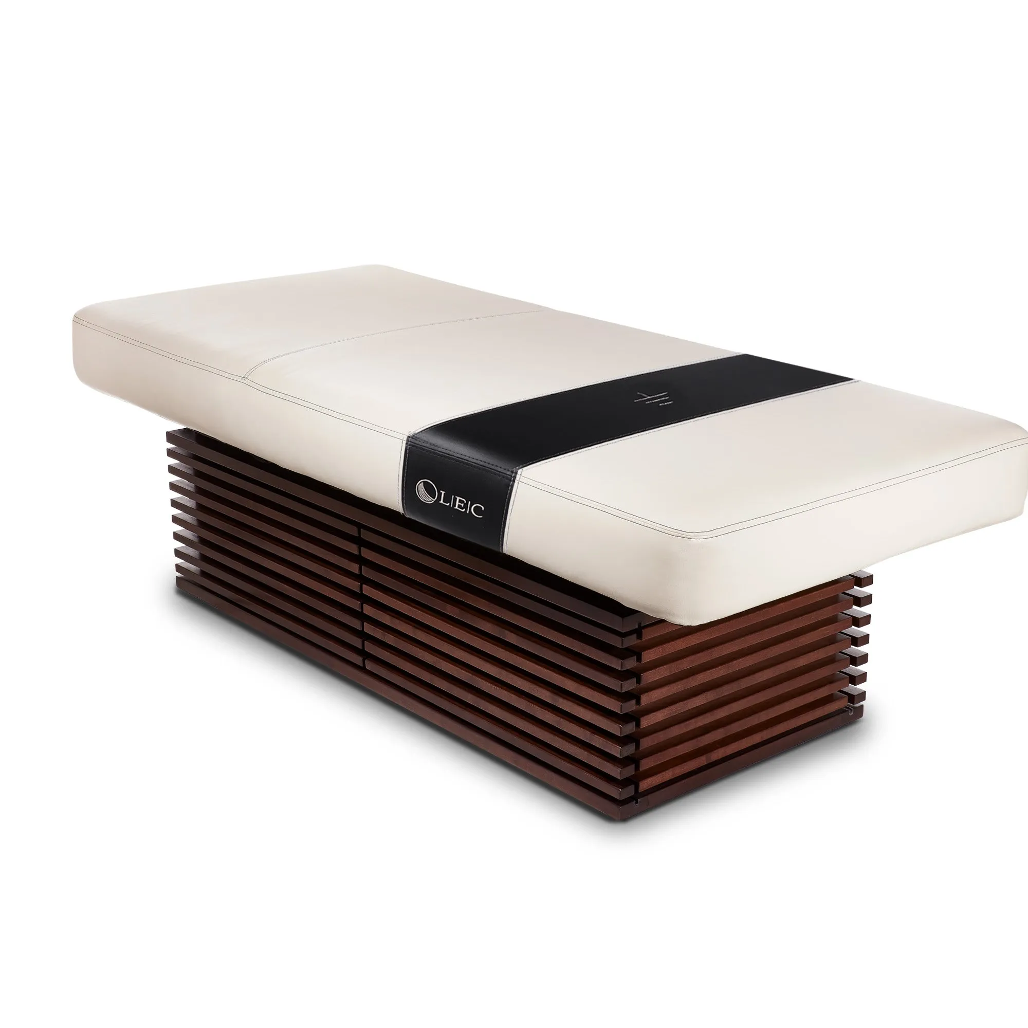 Living Earth Crafts Insignia Modern Multi-Purpose Treatment Table with Replaceable Mattress