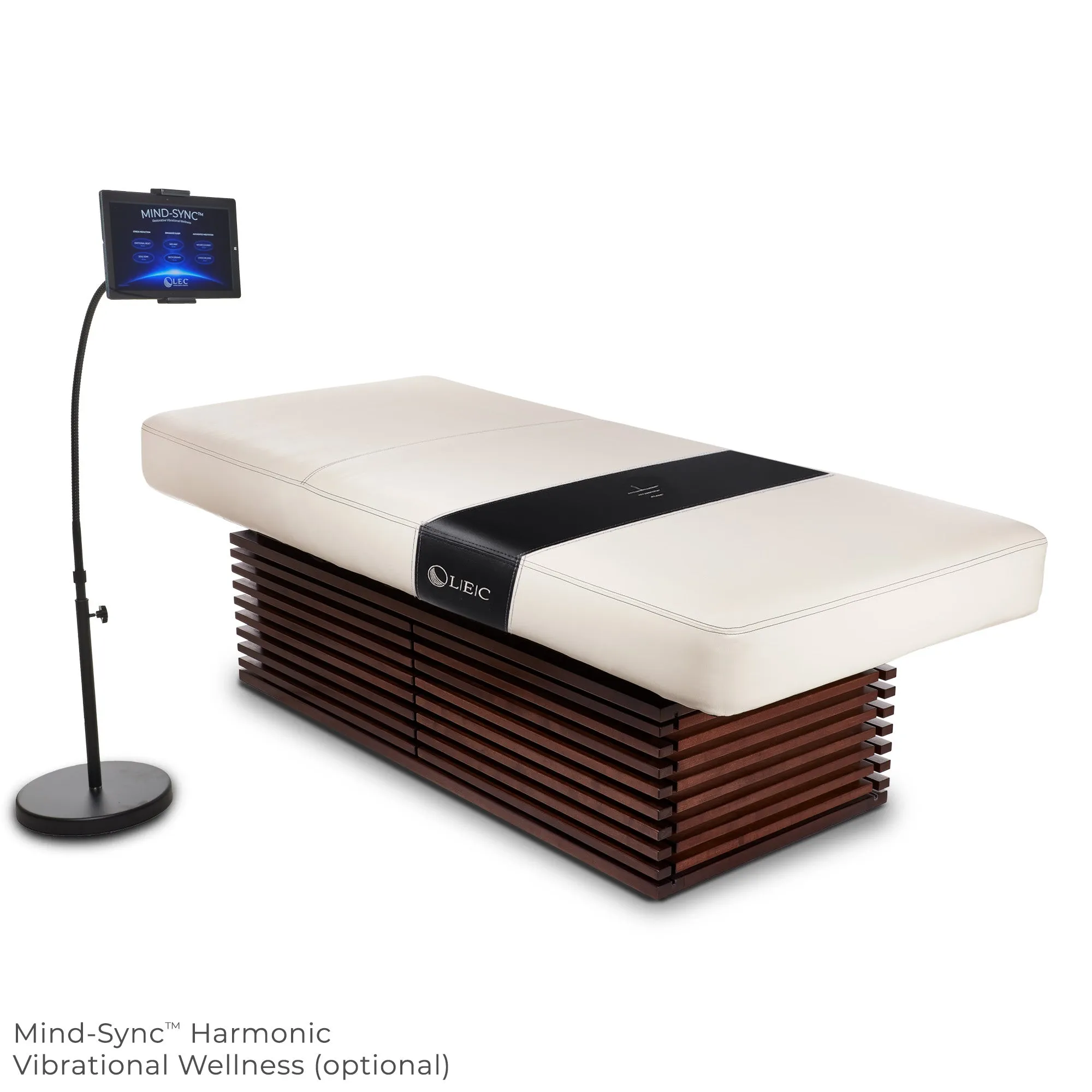 Living Earth Crafts Insignia Modern Multi-Purpose Treatment Table with Replaceable Mattress