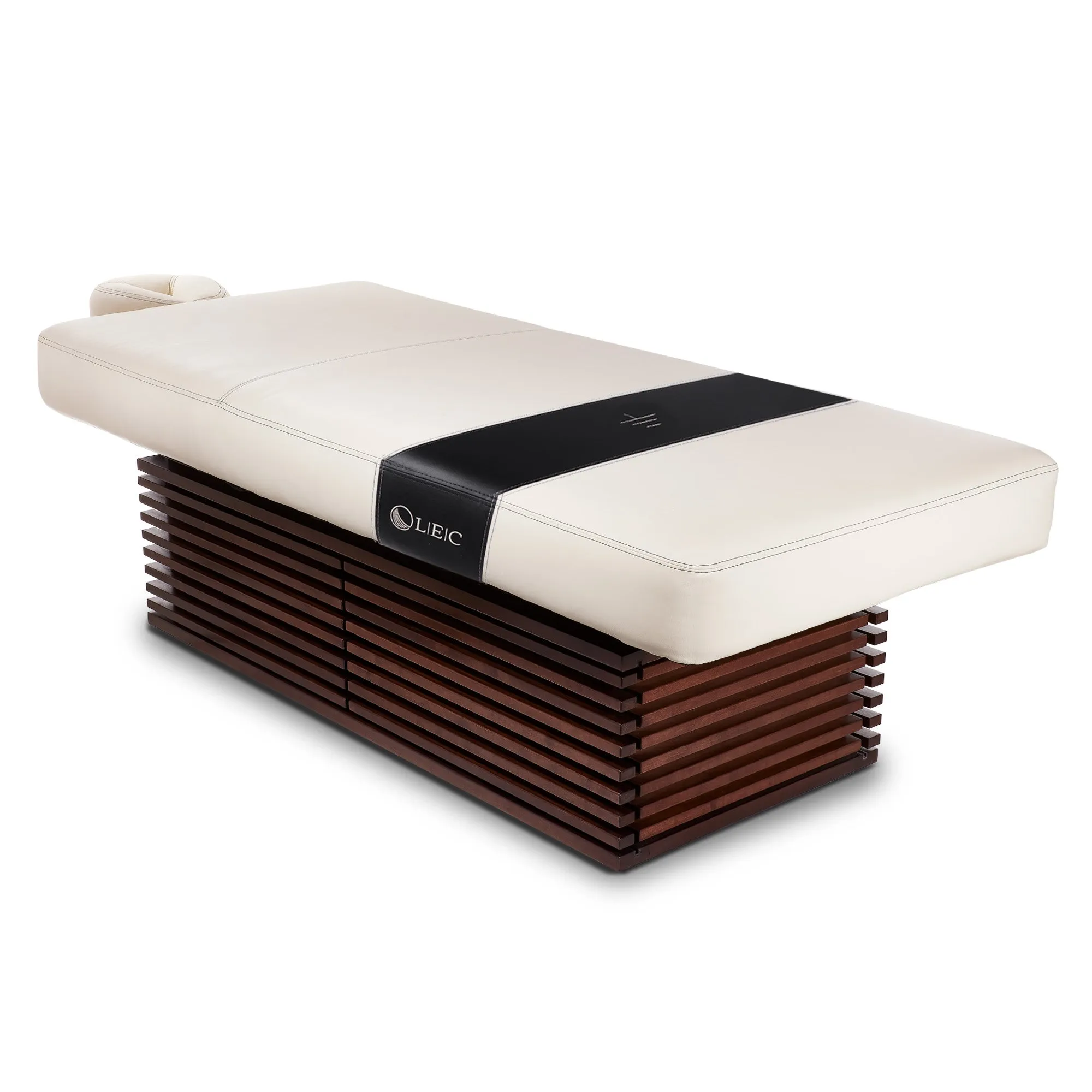 Living Earth Crafts Insignia Modern Multi-Purpose Treatment Table with Replaceable Mattress