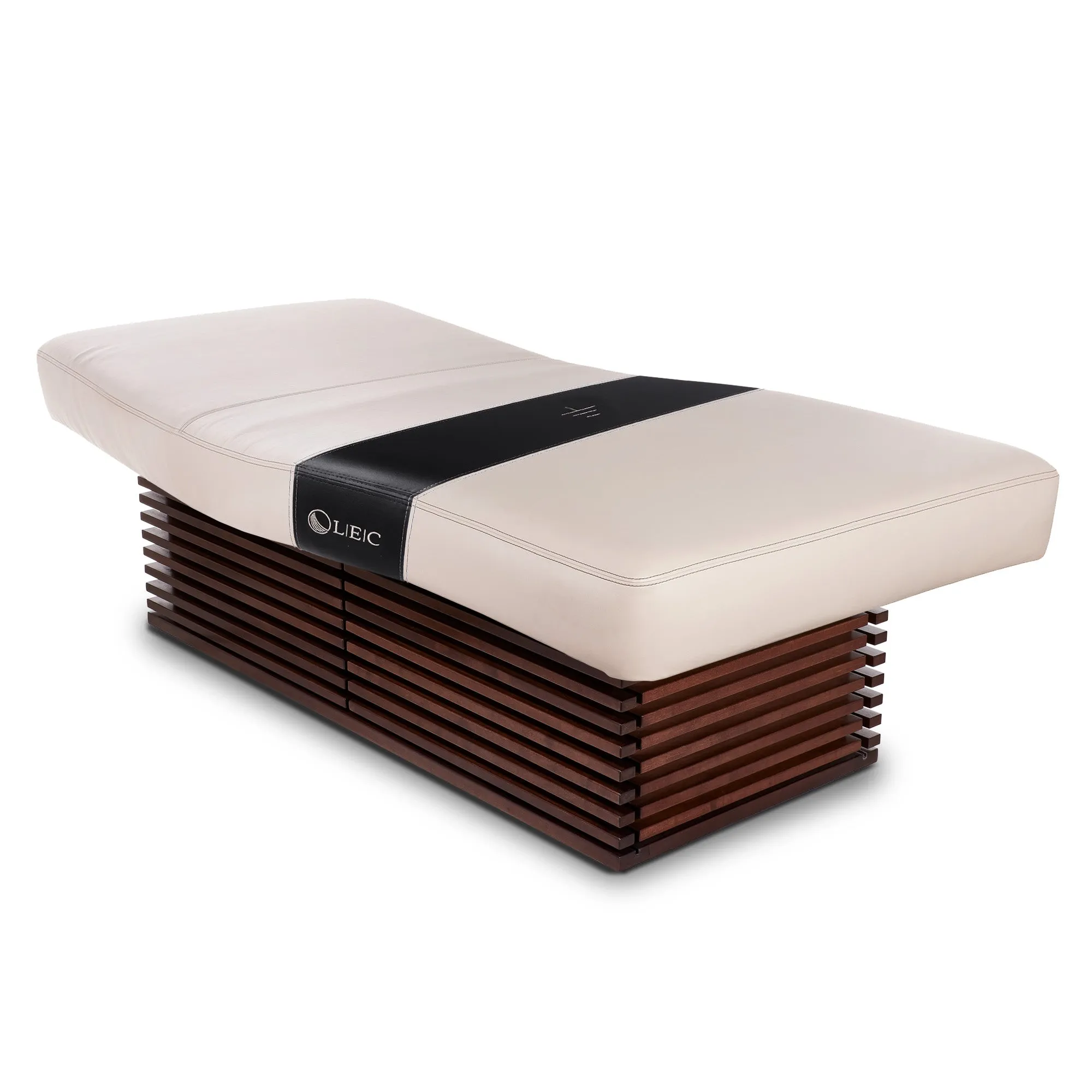 Living Earth Crafts Insignia Modern Multi-Purpose Treatment Table with Replaceable Mattress