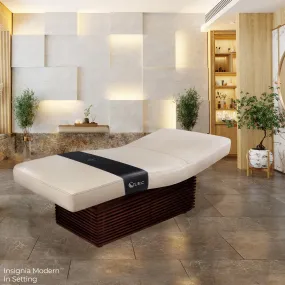 Living Earth Crafts Insignia Modern Multi-Purpose Treatment Table with Replaceable Mattress