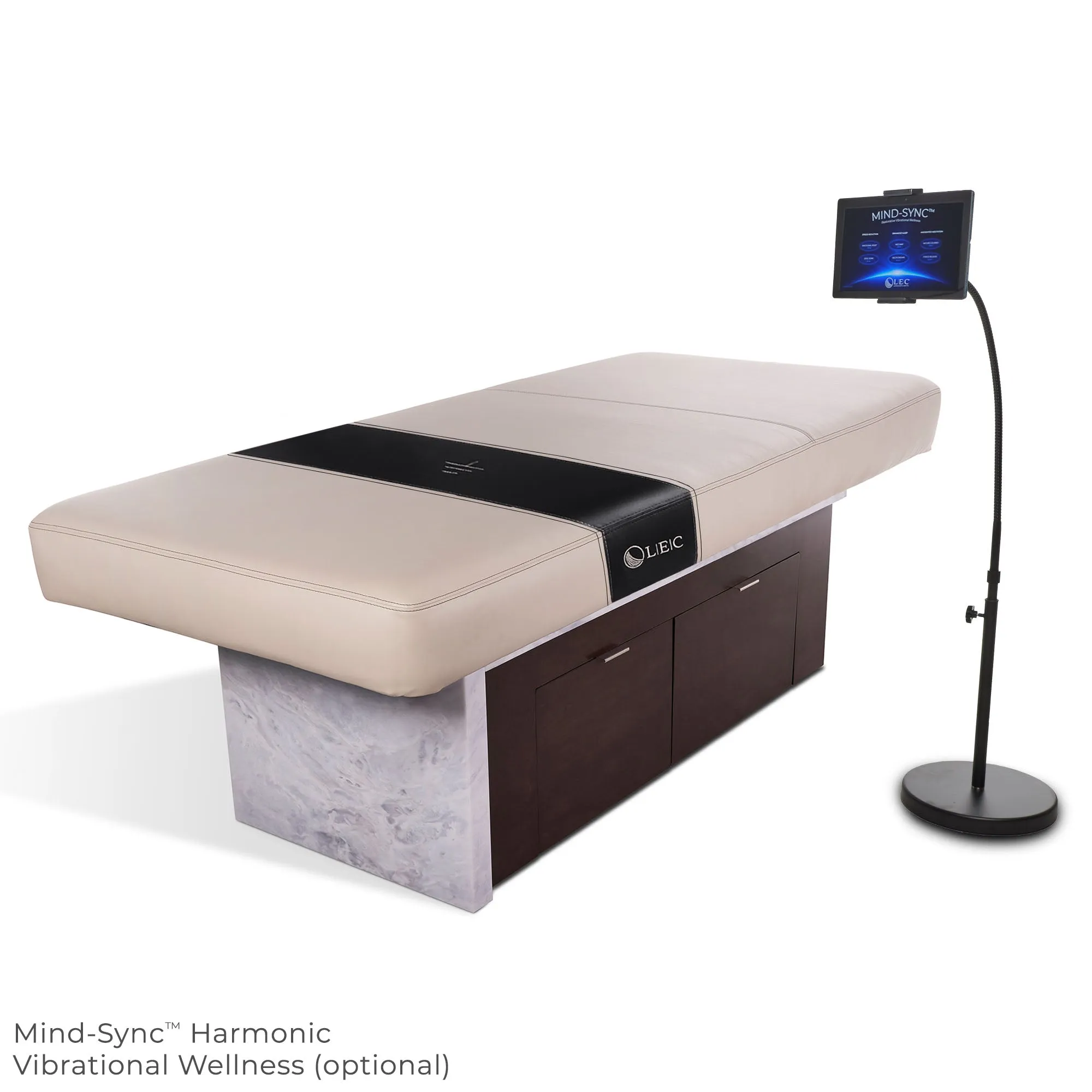 Living Earth Crafts Insignia Waterfall Multi-Purpose Treatment Table with Replaceable Mattress