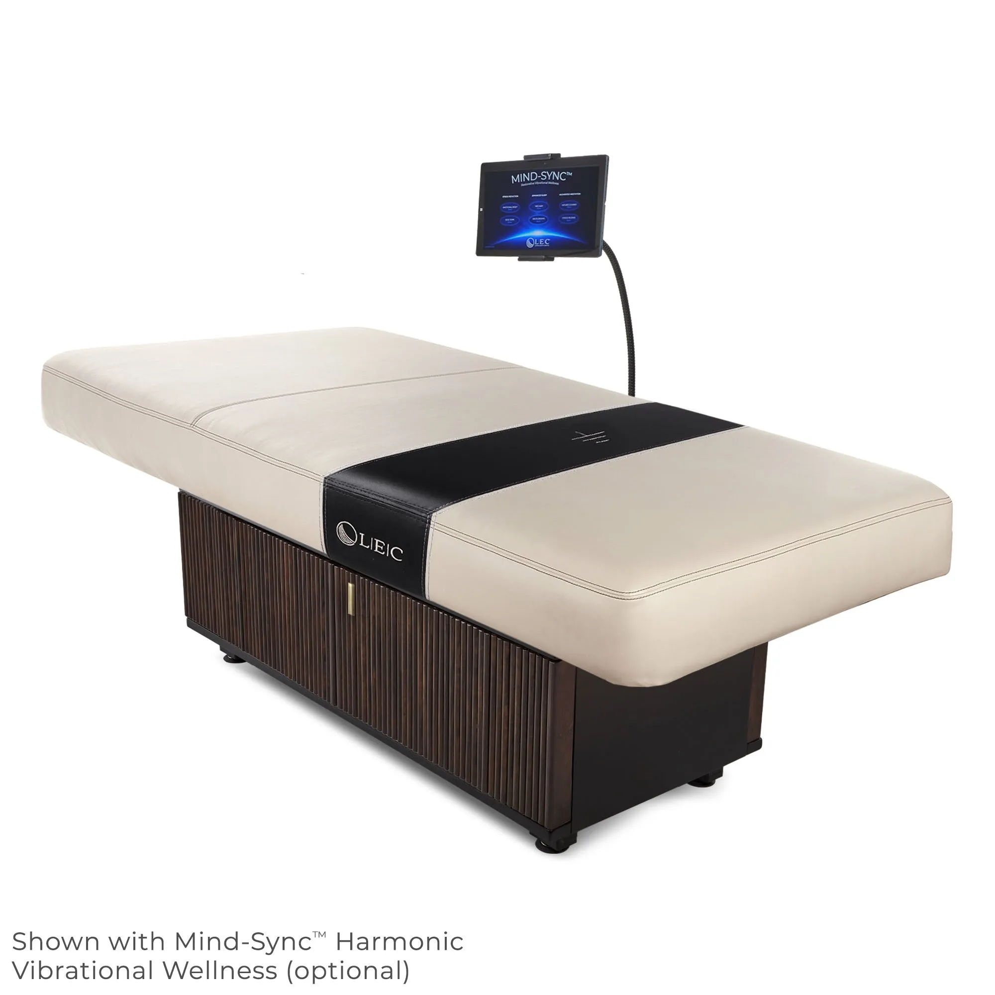 Living Earth Crafts Insignia Waverly Multi-Purpose Treatment Table with Replaceable Mattress