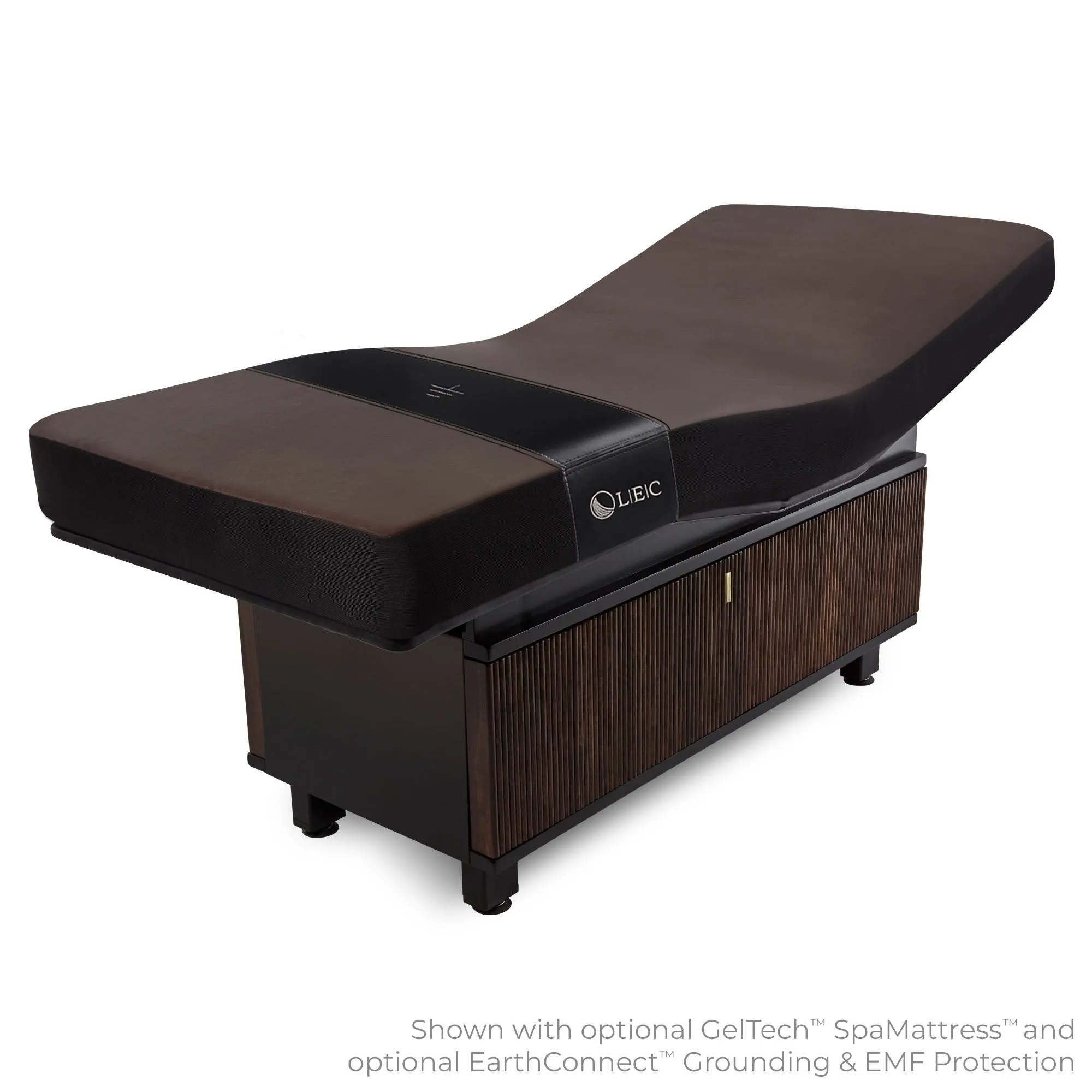 Living Earth Crafts Insignia Waverly Multi-Purpose Treatment Table with Replaceable Mattress