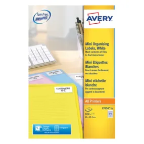 Mini Organizing Labels 46 x 11.1 mm