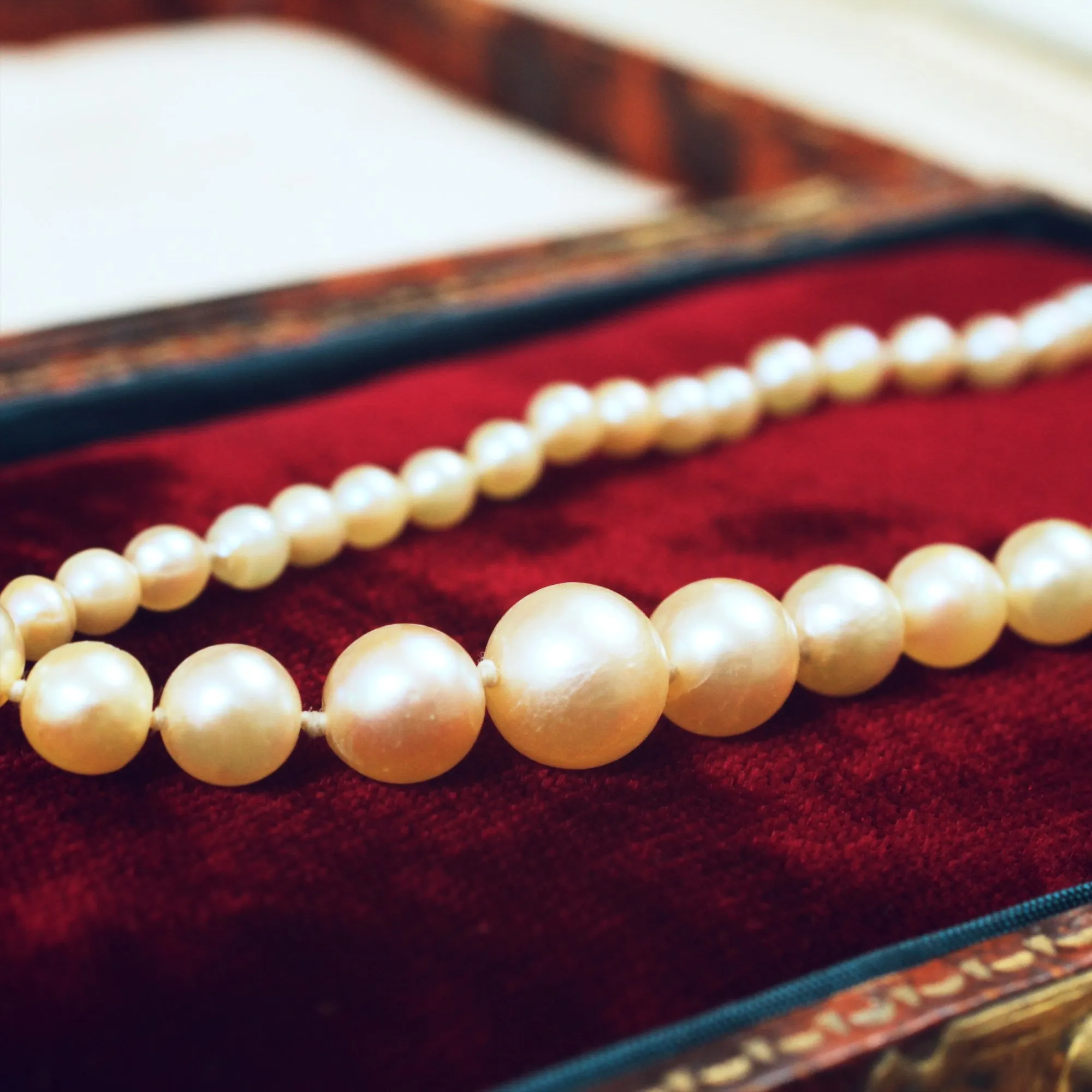 Natural Creamy Lustre Vintage Cultured Pearl Necklace