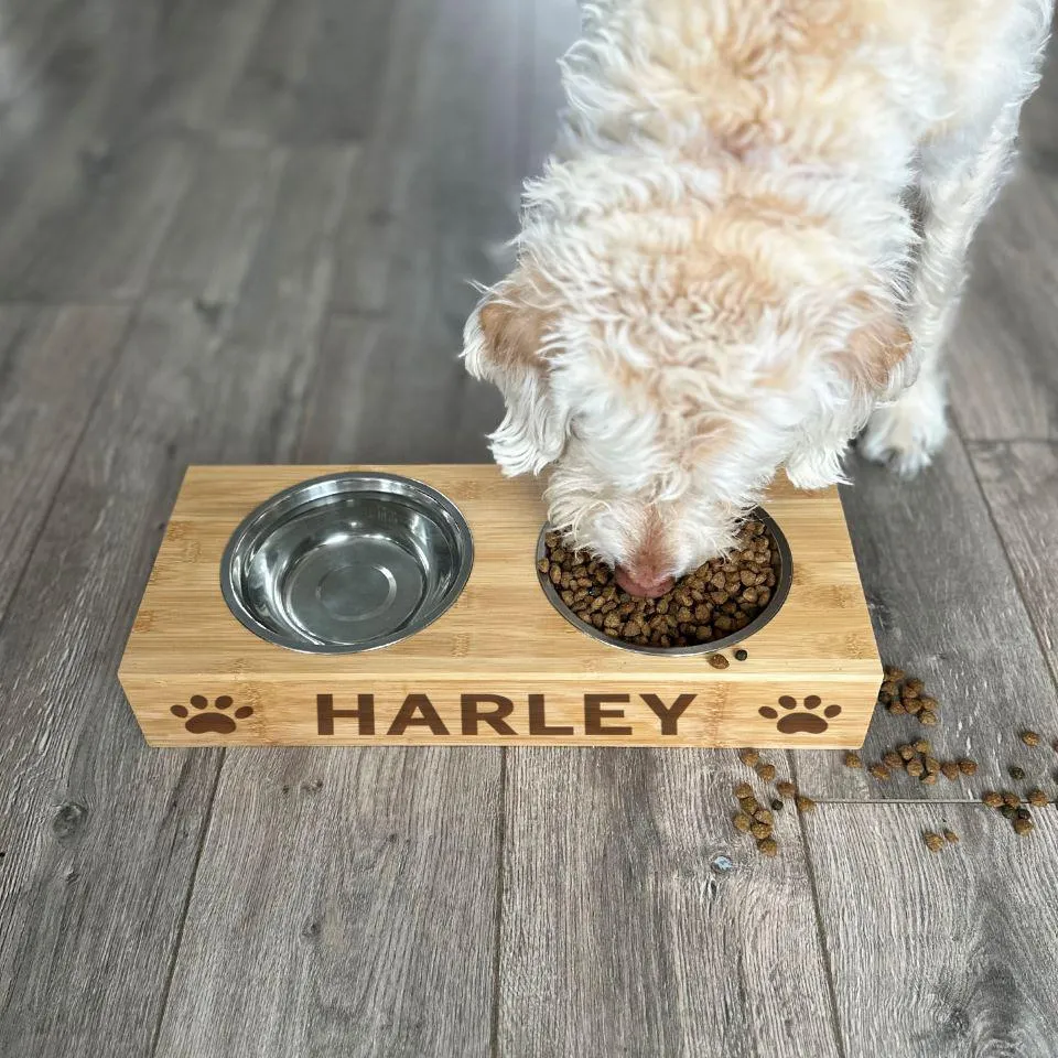 Personalized Dog and Cat Feeding Stands with Bowls