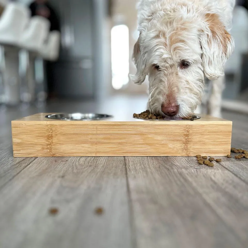 Personalized Dog and Cat Feeding Stands with Bowls