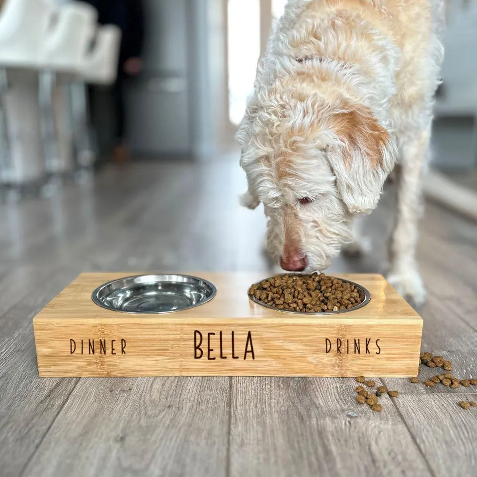 Personalized Dog and Cat Feeding Stands with Bowls