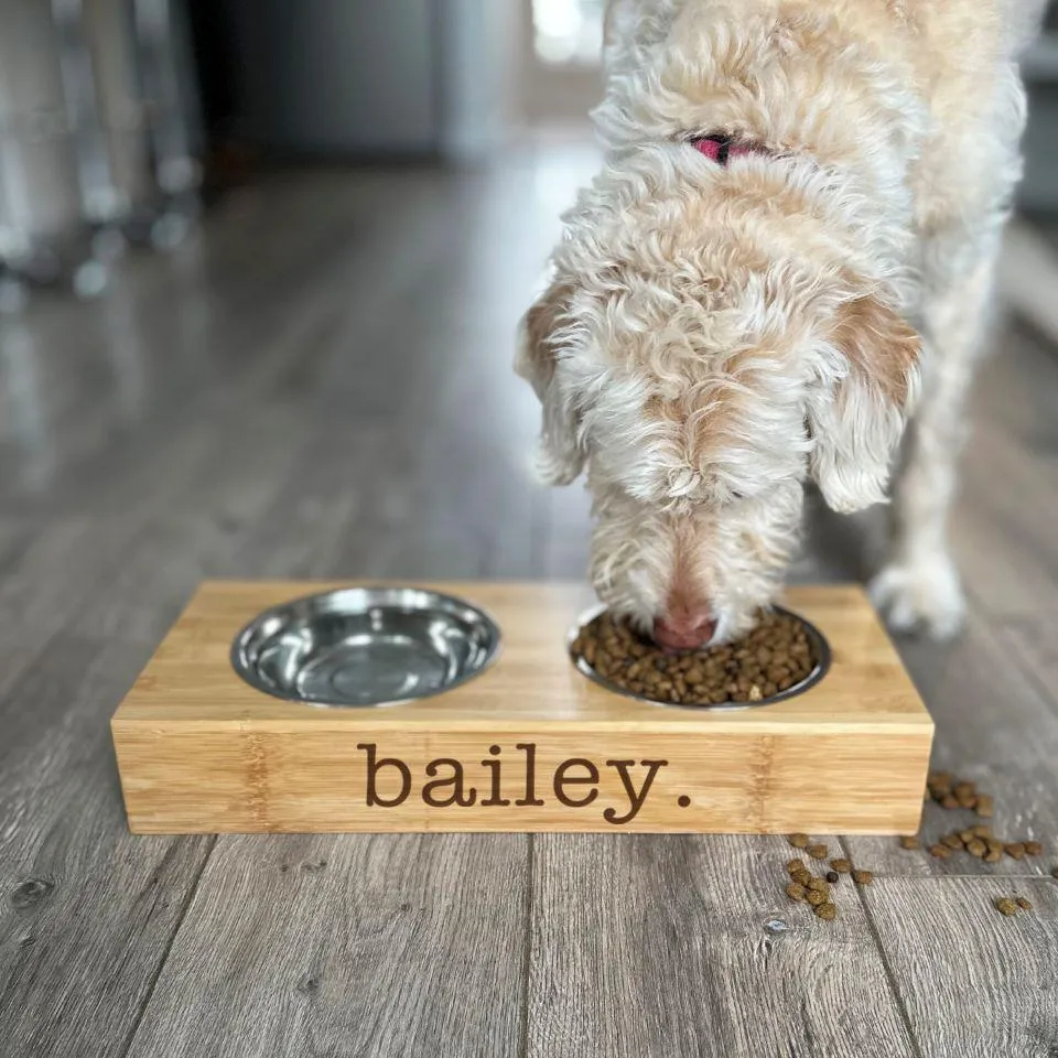 Personalized Dog and Cat Feeding Stands with Bowls