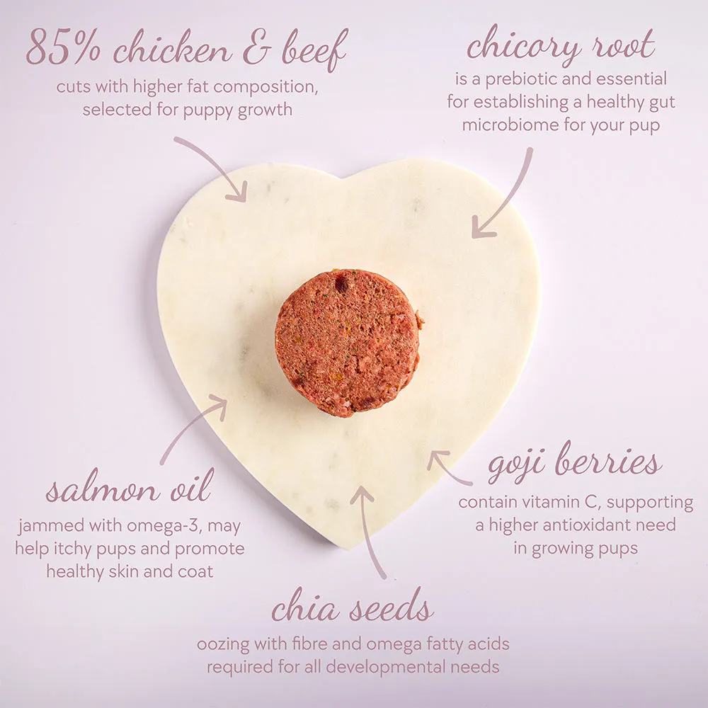 Puppy Box, Patties (96 x 100g)