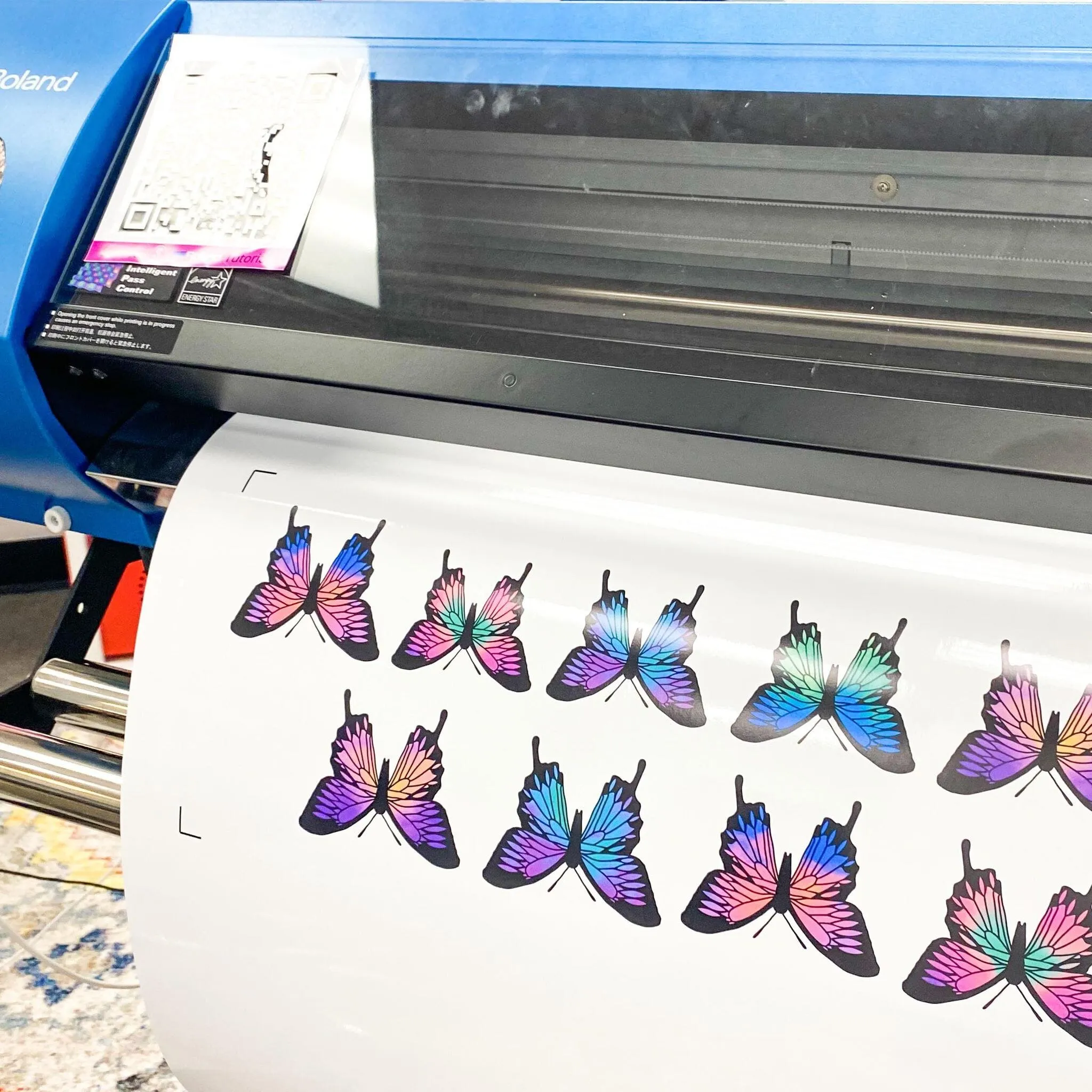 Roland BN-20A Eco-Solvent 20" Printer & Cutter w/ CMYK Inks & Siser Romeo