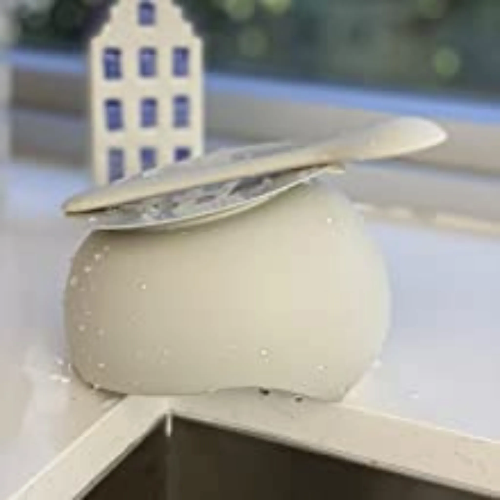 Silicone Bowl  Spoon